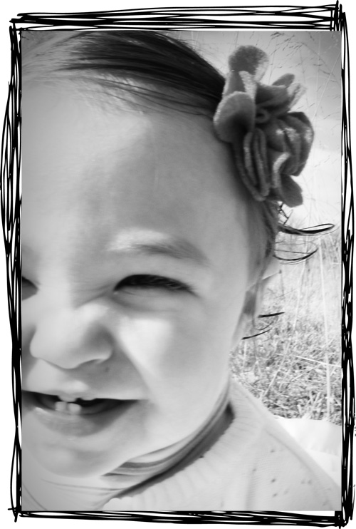 Serity with felt flower hairclip