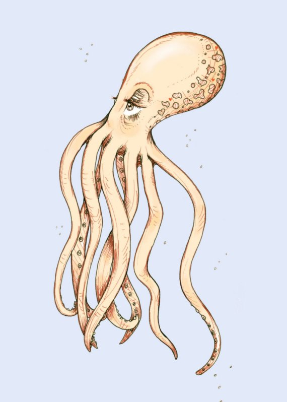 The Lazy Octopus by Tara Put
