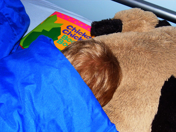 books in bed