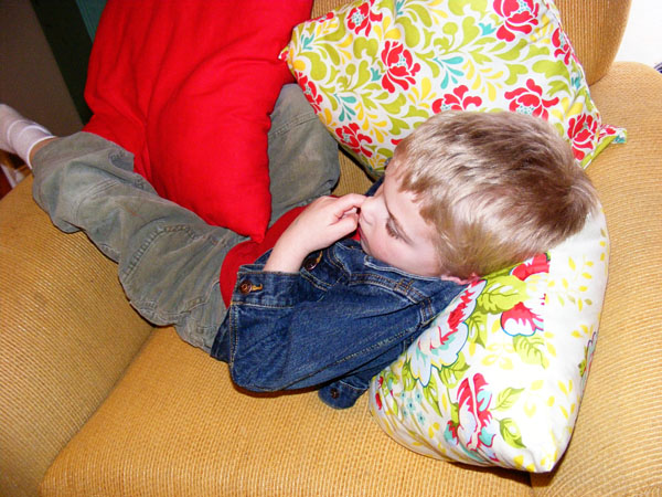 spring pillows3