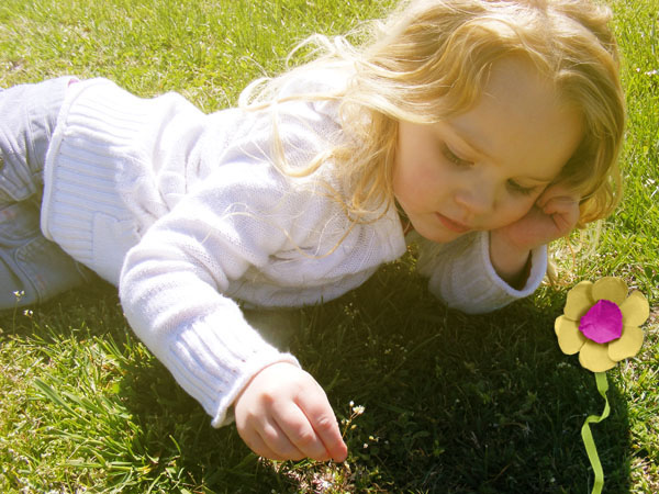 dandelion hunt