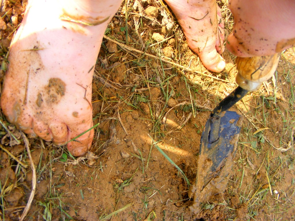 dirt