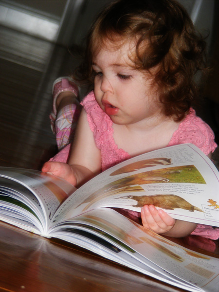 Seri reads