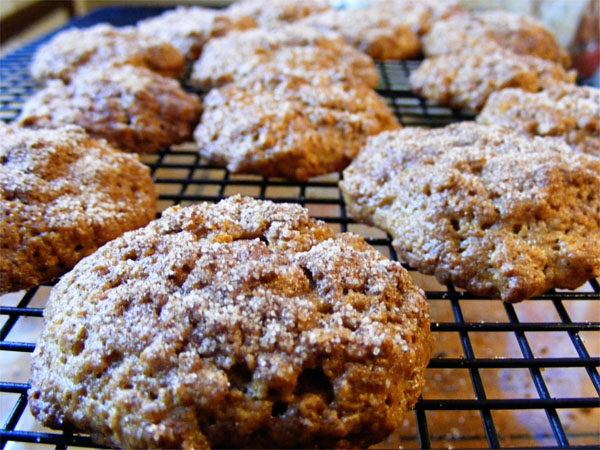 breakfast cookies