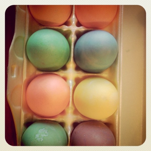 eggs
